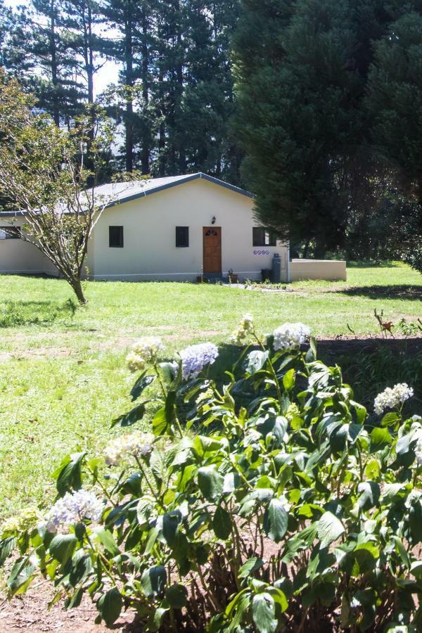 Kamberg Valley Hideaway Rev Estates Eksteriør billede